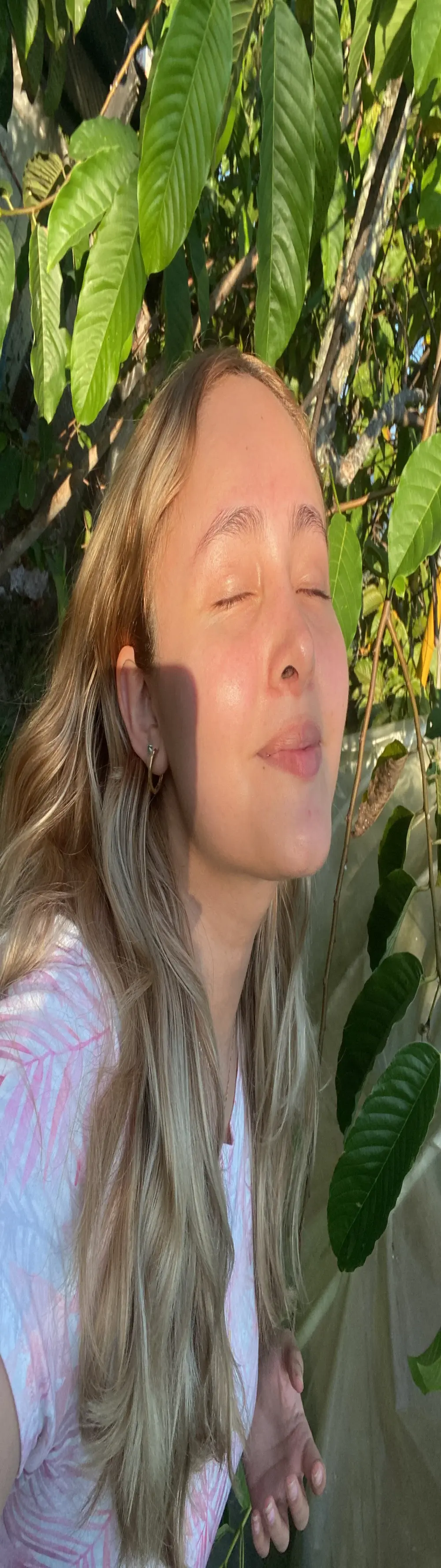 Rositafresitaa