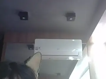 Stripchat Free Porn Cam of SkinnyKitten
