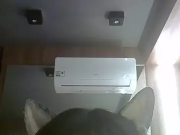 Stripchat Live Sex of SkinnyKitten