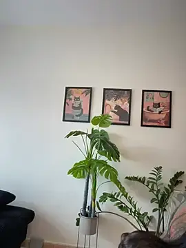 Stripchat Watch Live Sex Cams of Adriennesexxx