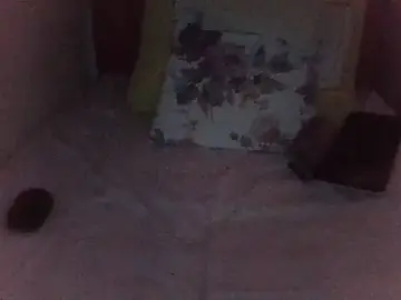 Stripchat Free Live Porn of st206boy