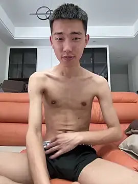 Stripchat Nude Webcam of JdhdSjdj