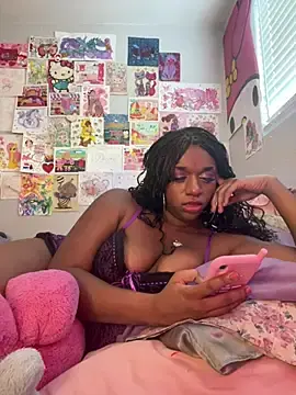 Stripchat Sex Chat of KimmyKiwi